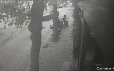 Kedilere Yardım Eden İş İnsanına Saldırı