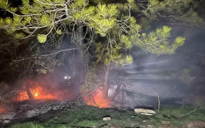 Mudurnu Orman Yangını Söndürüldü