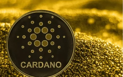Cardano Geliştiricisine FBI Soruşturması Açıldı