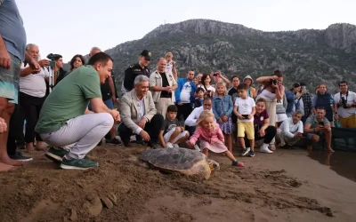 Muğla’da Lansinoh Caretta Caretta, 2.000 km Yolculukta