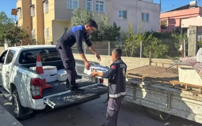 Tarsus’ta Sağlıksız Balıklar İmha Edildi