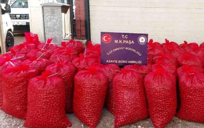 Bursa’da Hırsızlık Şüphelileri Tutuklandı