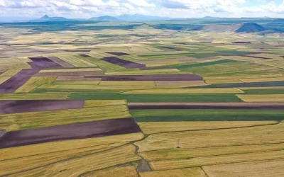 Yatırımda rotalar değişti: En çok arsa değeri artan 10 il!