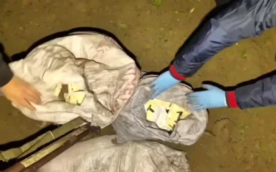 Hatay’da 625 Bin Adet Uyuşturucu Hap Yakalandı