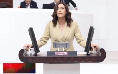 CHP’li Evrim Rızvanoğlu’ndan Çevre ve İklim Bütçesine Sert Eleştiri