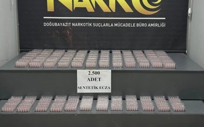 Doğubayazıt’ta Narkotik Operasyonu: TIR Dorsesinde 2 Bin 500 Uyuşturucu Hap Bulundu