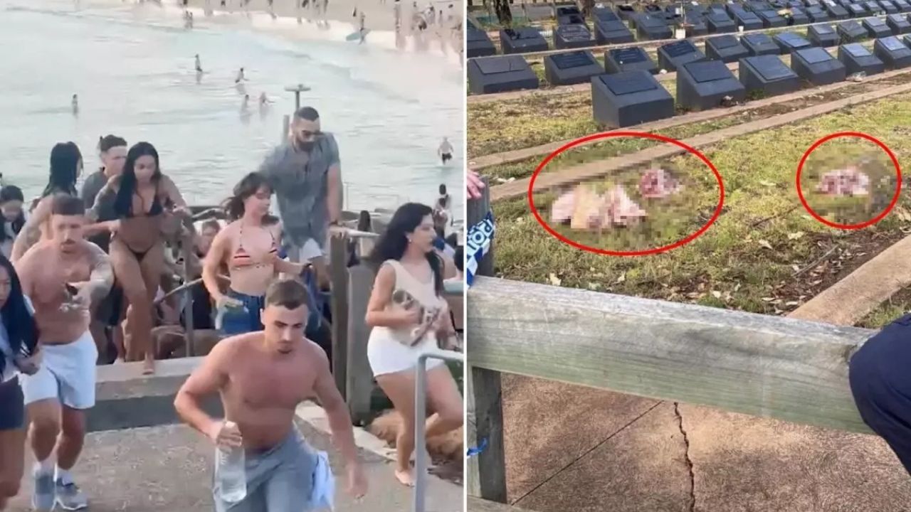 Plaj saldırısının ardından Müslüman mezarlığına çirkin provokasyon