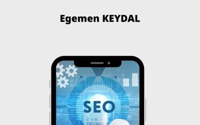 Ücretsiz SEO Testi Hizmeti Egemen Keydal’ın Geliştirdiği Yeni Araçla Kullanıma Açıldı